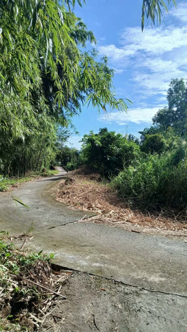 Bán đất Ấp 4 Thành phố Vị Thanh, Hậu Giang – giá 350 triệu