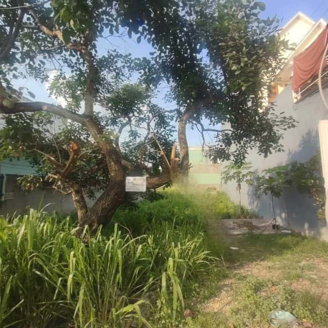 Bán đất khu phố 3 Thành phố Bến Cát, Bình Dương – giá 2 tỷ
