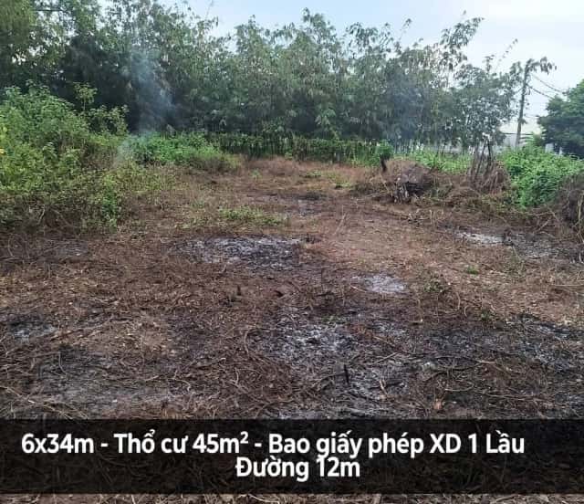 Bán đất Ấp Mũi Lớn 2 Huyện Củ Chi, TP.HCM – giá 1.3 tỷ Bán đất Ấp Mũi Lớn 2 Huyện Củ Chi, TP.HCM – giá 1.3 tỷ