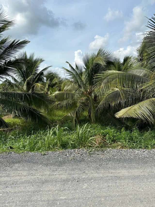 Bán đất Khu Phố Nhơn Hậu Thành phố Tân An, Long An – giá 22 tỷ