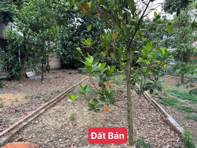 Bán đất thôn Bắc Thượng Huyện Sóc Sơn, TP. Hà Nội – giá 2.8 tỷ