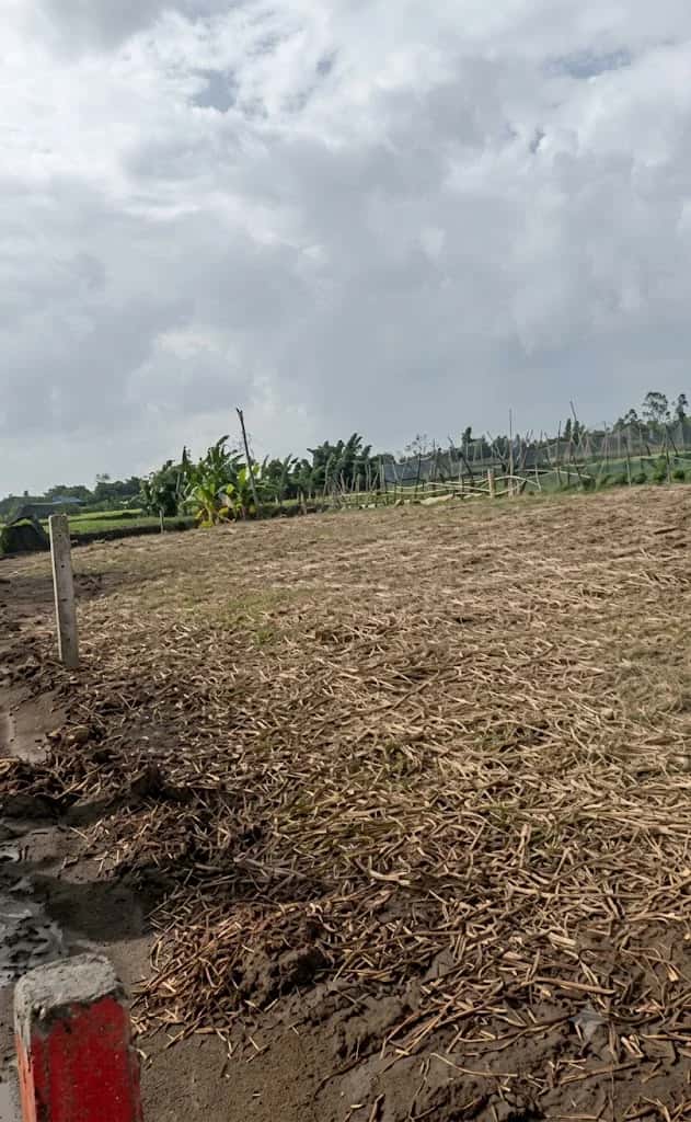 Bán đất Ấp Cầu Bà Trà Huyện Gò Công Đông, Tiền Giang – giá 160 triệu