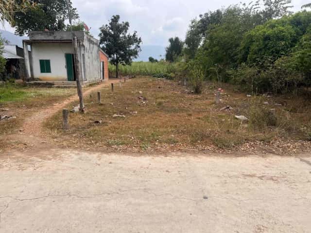 Bán đất Thôn Sông Búng Thị xã Ninh Hòa, Khánh Hòa – giá 260 triệu Bán đất Thôn Sông Búng Thị xã Ninh Hòa, Khánh Hòa – giá 260 triệu