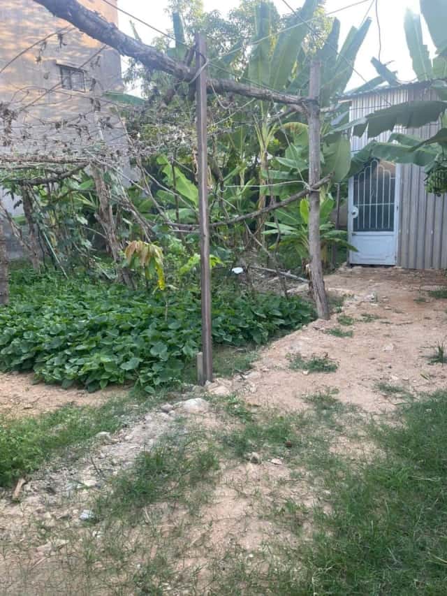 Bán đất Phong Châu  Thành phố Nha Trang, Khánh Hòa – giá 10.5 tỷ