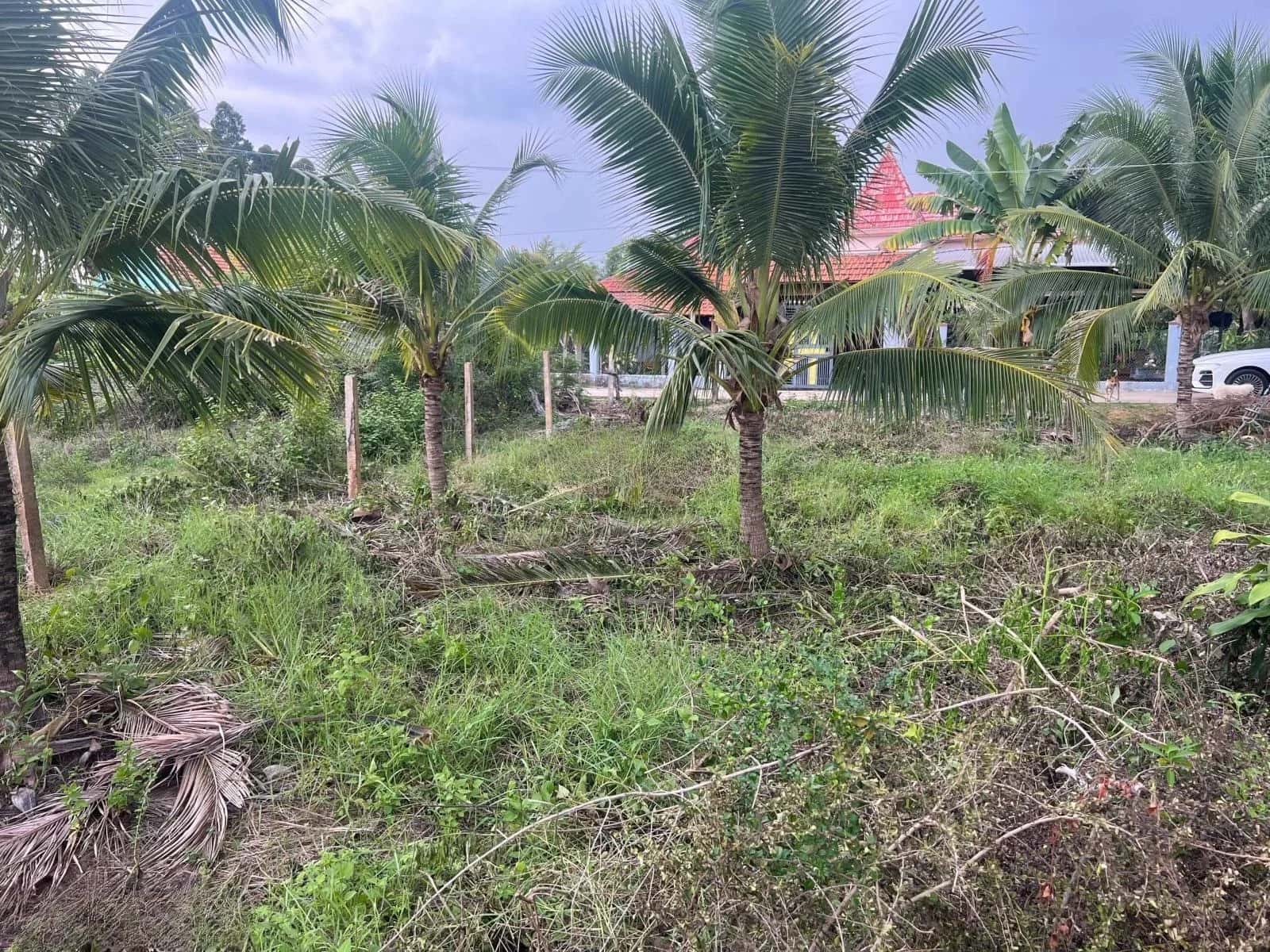 Bán đất Tỉnh Lộ 7, Thôn 3 Thị xã Ninh Hòa, Khánh Hòa – giá 530 triệu