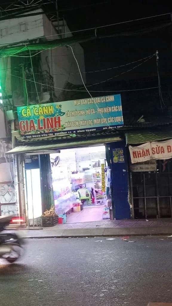 Bán nhà mặt tiền Phan Văn Trị Quận Gò Vấp, TP.HCM – 2 phòng ngủ, giá 8.3 tỷ