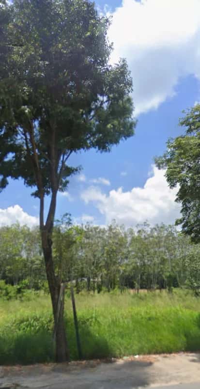 Bán đất đường NK 13 Thành phố Bến Cát, Bình Dương – giá 2.9 tỷ