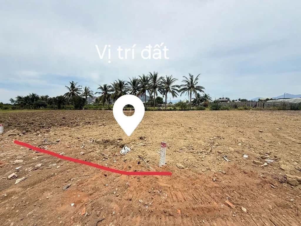 Bán đất Nguyễn Trác Thành phố Phan Rang-Tháp Chàm, Ninh Thuận – giá 500 triệu