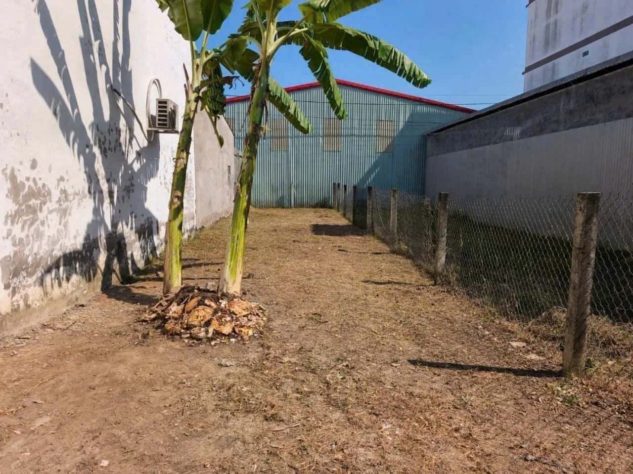 Bán đất đường số 10, Khu dân cư Long Thạnh Hưng Huyện Chợ Gạo, Tiền Giang – giá 950 triệu