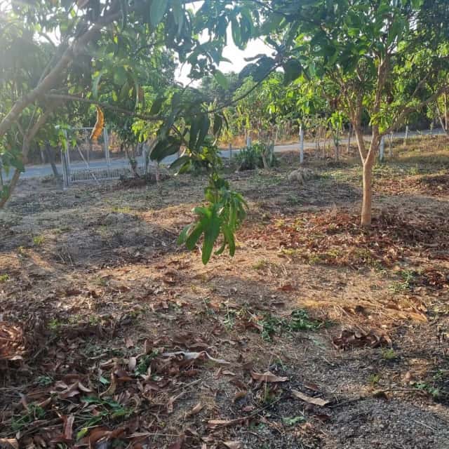 Bán đất Quốc Lộ 20 Huyện Định Quán, Đồng Nai – giá 1.4 tỷ