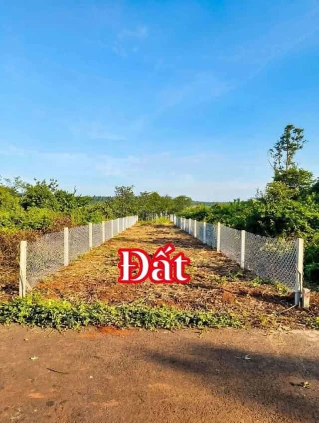 Bán đất đường Láng Lớn - Kim Long Huyện Châu Đức, BRVT – giá 650 triệu