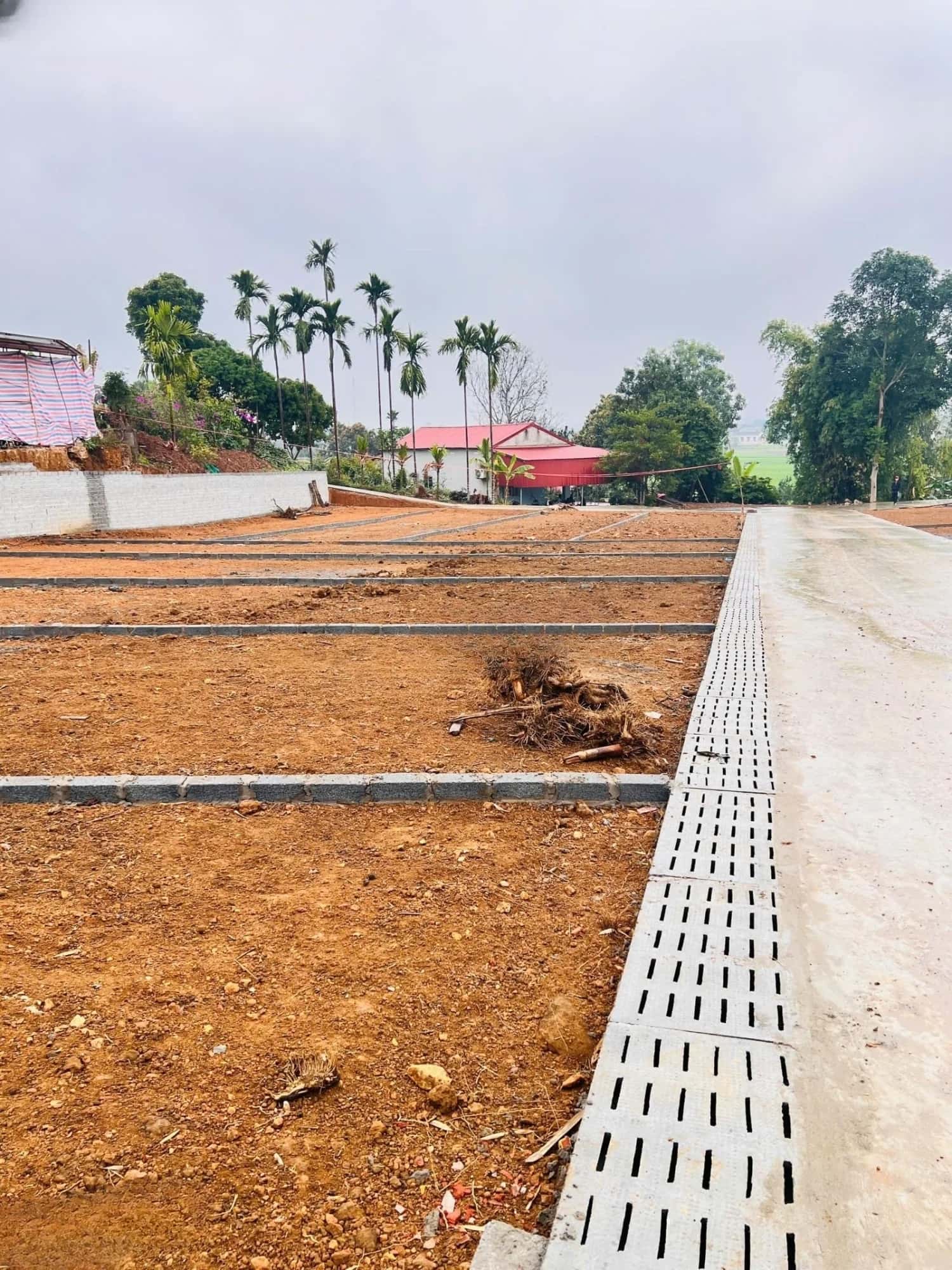 Bán đất hẻm đường Tỉnh lộ 317 Huyện Thanh Thuỷ, Phú Thọ – giá 330 triệu