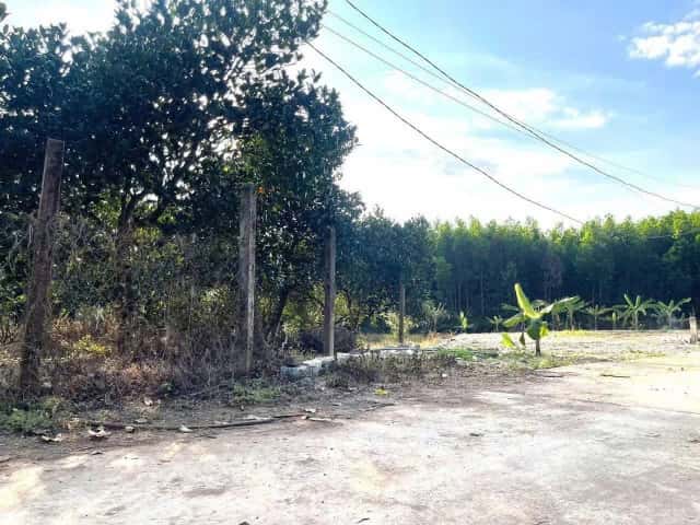 Bán đất thôn Láng Nhớt  Huyện Diên Khánh, Khánh Hòa – giá 349 triệu