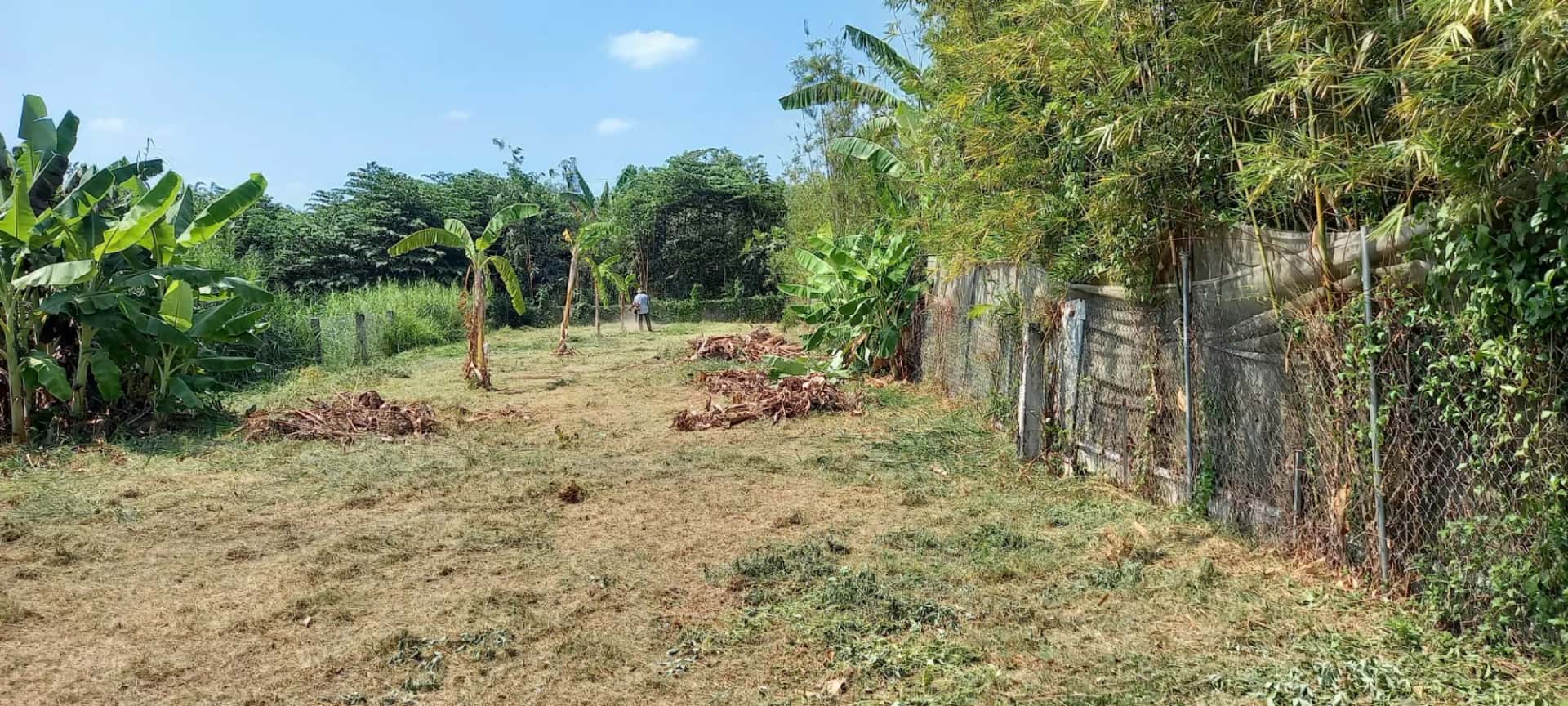 Bán đất Đinh Tiên Hoàng Thành phố Vĩnh Long, Vĩnh Long – giá 5 tỷ
