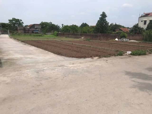 Bán đất Thôn Đông Tảo Nam Huyện Khoái Châu, Hưng Yên – giá 2.2 tỷ