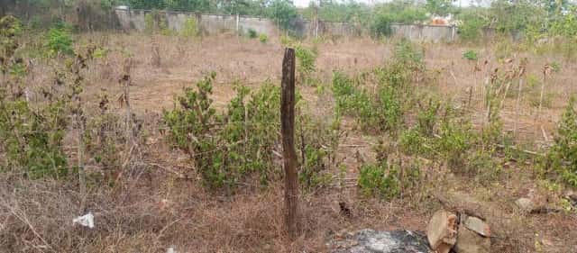 Bán đất Quốc Lộ 13 Thị xã Bình Long, Bình Phước – giá 480 triệu Bán đất Quốc Lộ 13 Thị xã Bình Long, Bình Phước – giá 480 triệu