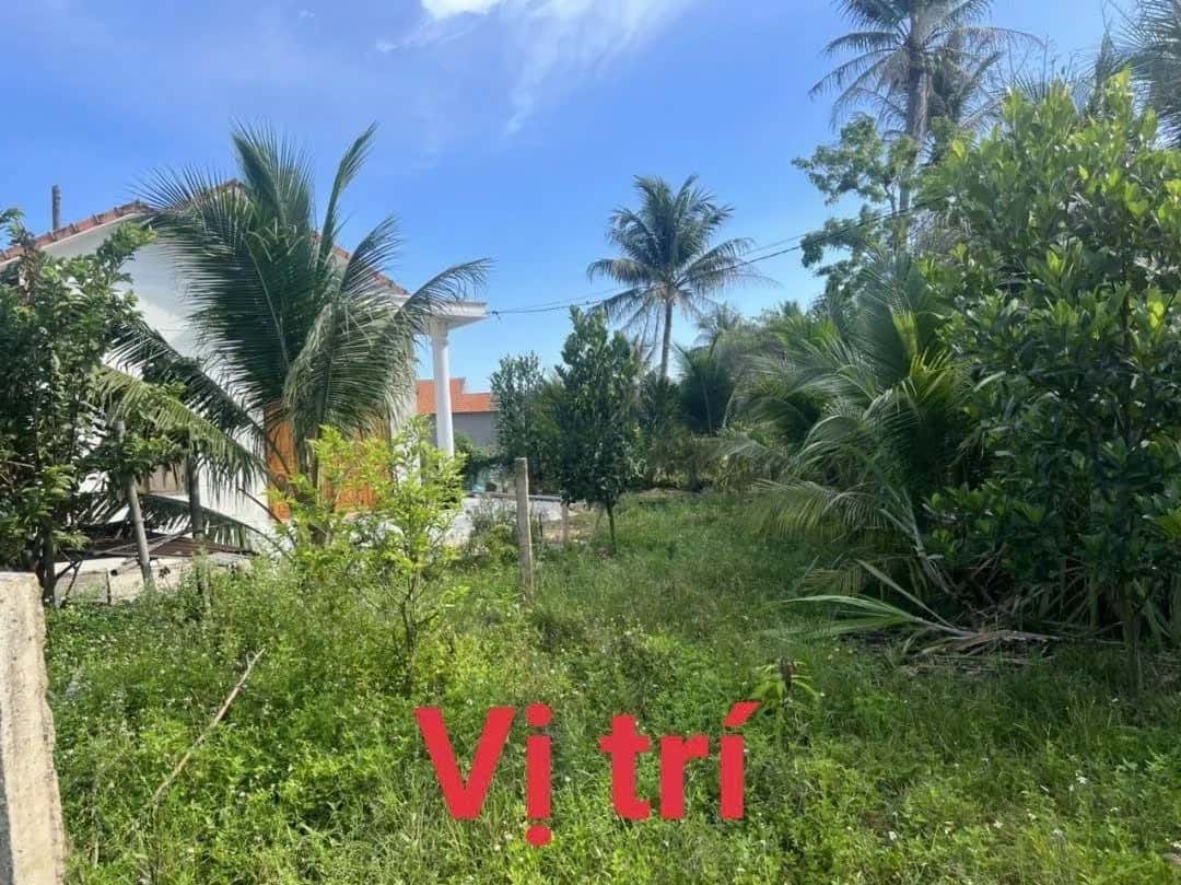 Bán đất đường ĐT 5 Thị xã Ninh Hòa, Khánh Hòa – giá 790 triệu