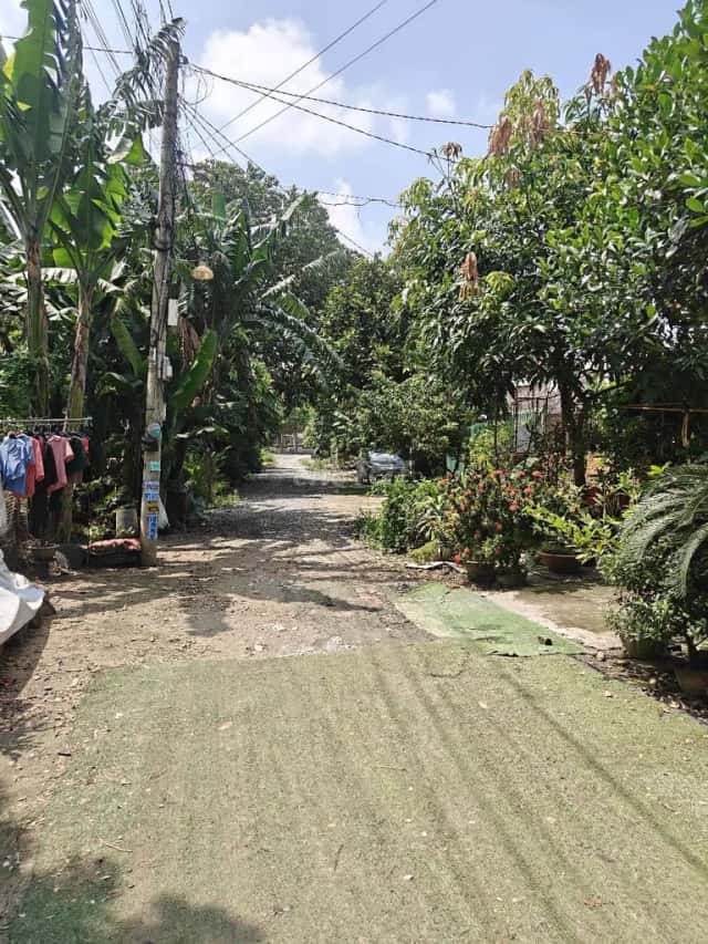 Cho thuê đất Dương Công Khi Huyện Hóc Môn, TP.HCM – giá 2 triệu Cho thuê đất Dương Công Khi Huyện Hóc Môn, TP.HCM – giá 2 triệu
