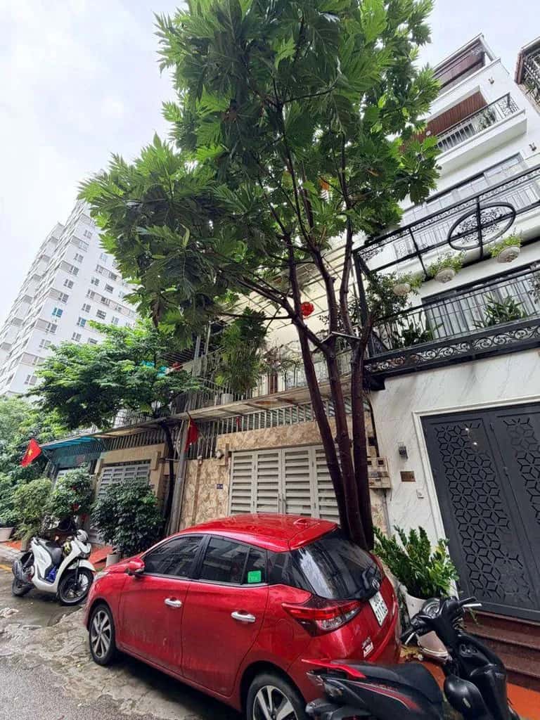 Cho thuê nhà hẻm Phố Lê Trọng Tấn Phương Liệt, Hà Nội – 3 phòng ngủ, giá 29 triệu
