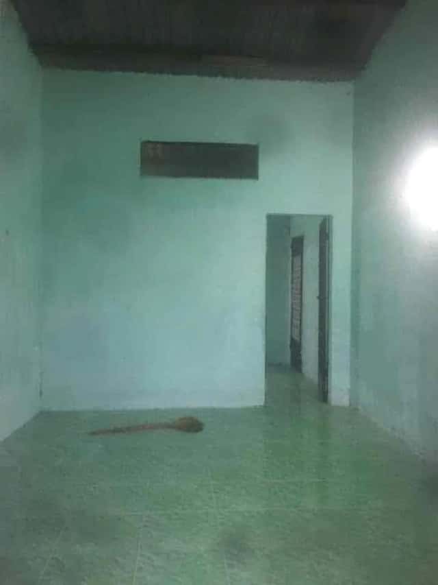 Cho thuê nhà hẻm Đường Vĩ Thị Ga Huyện Củ Chi, Ho Chi Minh – 2 phòng ngủ, giá 1 triệu Cho thuê nhà hẻm Đường Vĩ Thị Ga Huyện Củ Chi, Ho Chi Minh – 2 phòng ngủ, giá 1 triệu