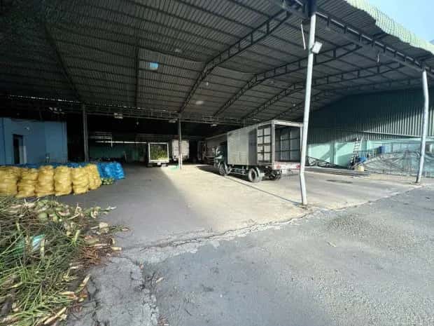 Cho thuê kho, nhà xưởng Quốc lộ 60 Châu Thành, Bến Tre – giá 80 triệu