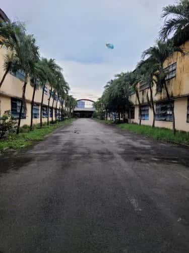 Cho thuê kho, nhà xưởng Trần Đại Nghĩa Huyện Bình Chánh, TP.HCM – giá 368 triệu Cho thuê kho, nhà xưởng Trần Đại Nghĩa Huyện Bình Chánh, TP.HCM – giá 368 triệu