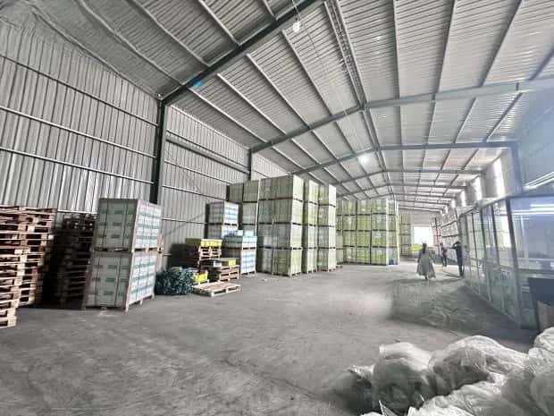 Cho thuê kho, nhà xưởng Tỉnh lộ 427 Thường Tín, Hà Nội – giá 72 triệu