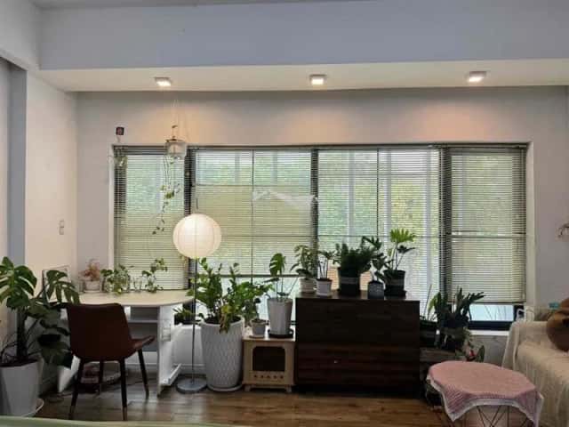 Cho thuê căn hộ chung cư Đường số 1 Quận 2 cũ, TP. Thủ Đức – giá 7 triệu