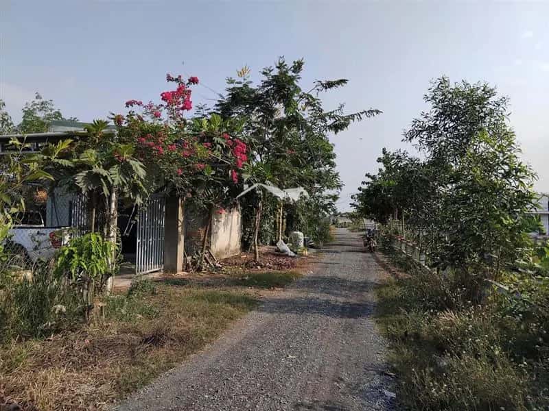 Cho thuê nhà hẻm đường liên xã An Phước - Tam An Huyện Long Thành, Đồng Nai – giá 3.2 triệu