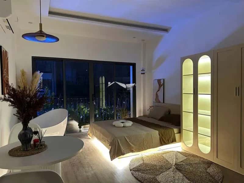 Cho thuê căn hộ chung cư Nguyễn Đình Chiểu Quận 1, TP.HCM – 1 phòng ngủ, giá 9 triệu