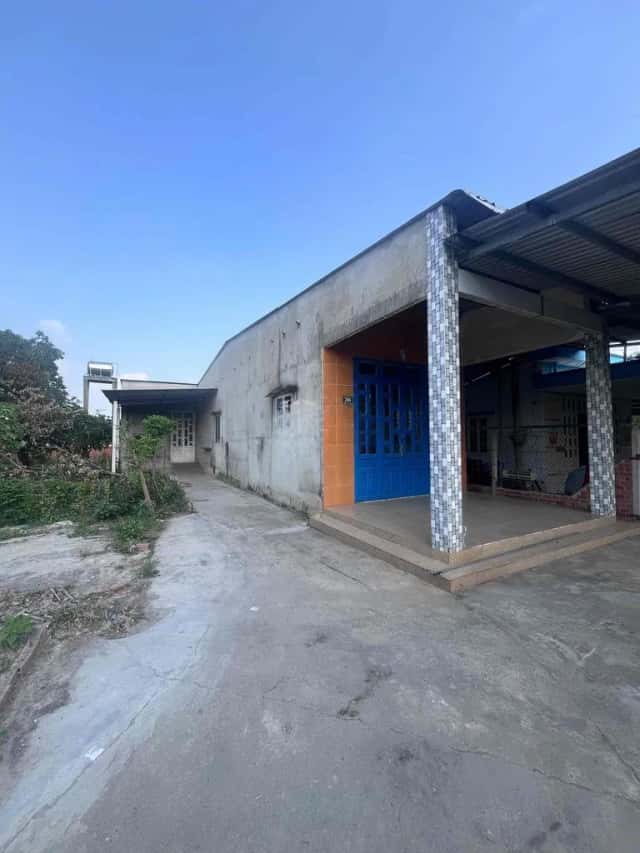 Cho thuê đất Tỉnh lộ 7 Huyện Củ Chi, TP.HCM – giá 3 triệu