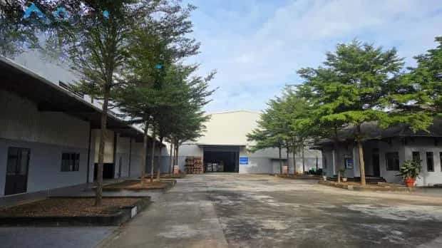 Cho thuê kho, nhà xưởng Biên Hòa, Dong Nai City – giá 380 triệu
