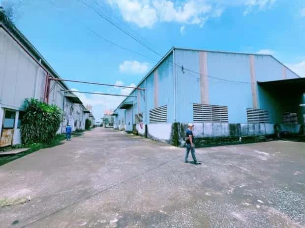 Cho thuê kho, nhà xưởng Quốc lộ 51 Huyện Long Thành, Đồng Nai – giá 179 triệu