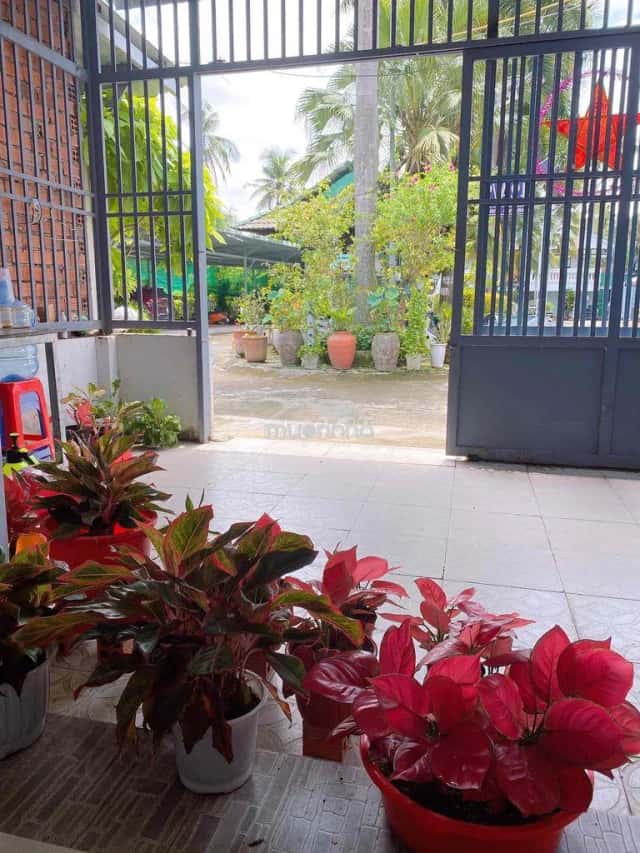 Cho thuê phòng trọ Đường 12 Phương Trường Thọ Quận 9 cũ, TP.HCM – 1 phòng ngủ, giá 1 triệu Cho thuê phòng trọ Đường 12 Phương Trường Thọ Quận 9 cũ, TP.HCM – 1 phòng ngủ, giá 1 triệu