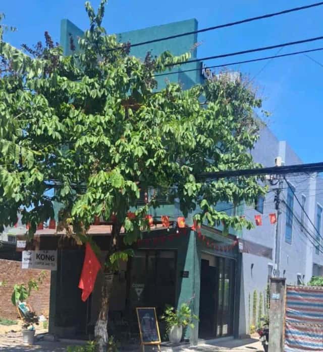 Cho thuê nhà mặt tiền Nguyễn Công Hoan Cẩm Lệ, Đà Nẵng – 1 phòng ngủ, giá 8 triệu