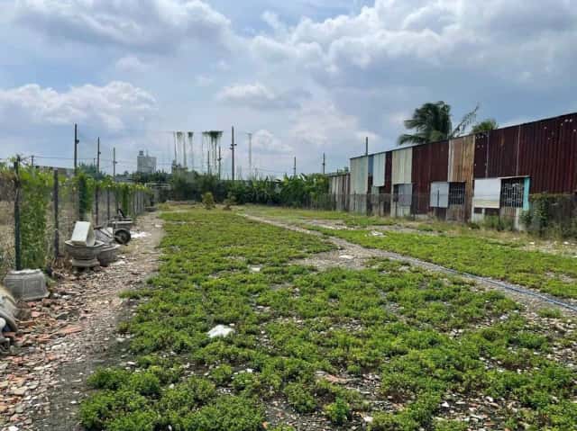 Cho thuê đất Đường TX 25 Quận 12, TP.HCM – giá 4 triệu