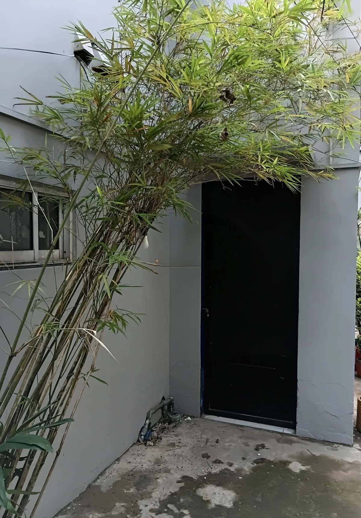 Cho thuê nhà hẻm Võ Văn Ngân Thành phố Thủ Đức, TP.HCM – 1 phòng ngủ, giá 2.5 triệu