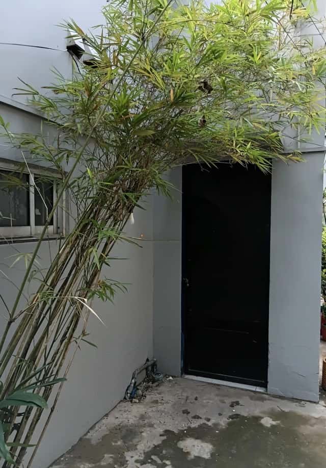 Cho thuê nhà hẻm Võ Văn Ngân Thành phố Thủ Đức, TP.HCM – 1 phòng ngủ, giá 2.5 triệu Cho thuê nhà hẻm Võ Văn Ngân Thành phố Thủ Đức, TP.HCM – 1 phòng ngủ, giá 2.5 triệu