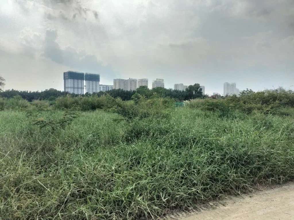 Cho thuê đất Đường Phạm Hữu Lầu Huyện Nhà Bè, TP.HCM – giá 40 triệu