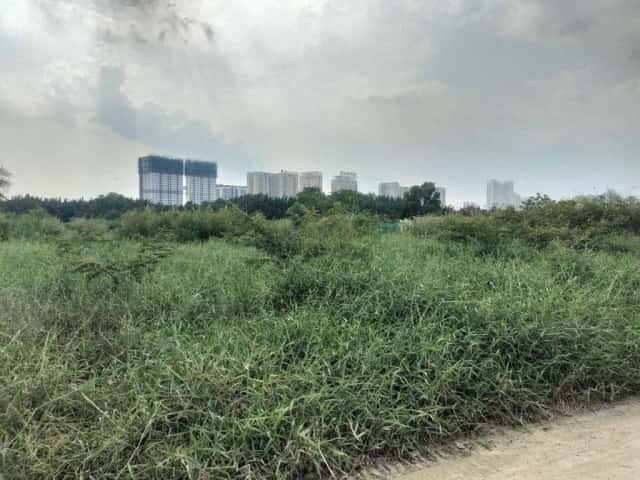 Cho thuê đất Đường Phạm Hữu Lầu Huyện Nhà Bè, TP.HCM – giá 40 triệu Cho thuê đất Đường Phạm Hữu Lầu Huyện Nhà Bè, TP.HCM – giá 40 triệu