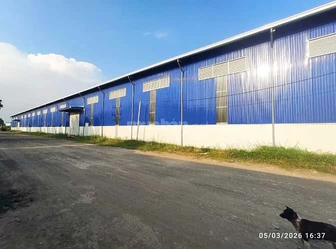 Cho thuê kho, nhà xưởng Quốc Lộ 50 Huyện Cần Giuộc, Tay Ninh – giá 210 triệu
