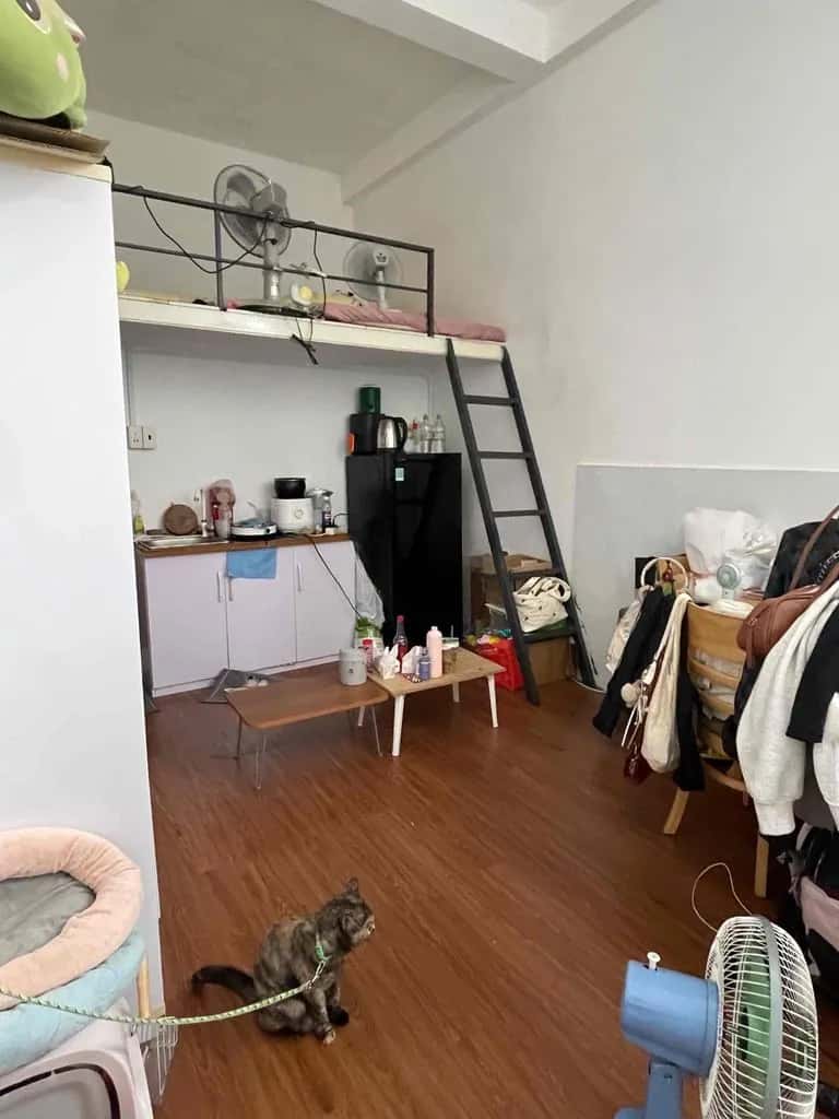Cho thuê phòng trọ Dương Bá Trạc Quận 8, TP.HCM – 4 phòng ngủ, giá 1.5 triệu