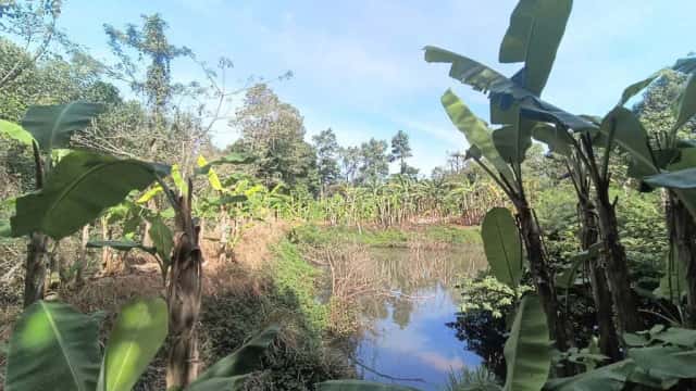 Bán đất Châu Đức, Ho Chi Minh – giá 24 tỷ Bán đất Châu Đức, Ho Chi Minh – giá 24 tỷ