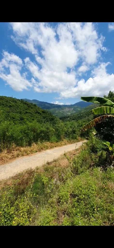 Bán đất Đường Giáp Văn Cương Nha Trang, Khánh Hòa – giá 720 triệu Bán đất Đường Giáp Văn Cương Nha Trang, Khánh Hòa – giá 720 triệu