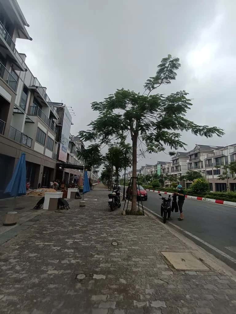 Bán nhà mặt tiền Đường 3 Tháng 2 Huyện Đức Hòa, Tay Ninh – 4 phòng ngủ, giá 13 tỷ