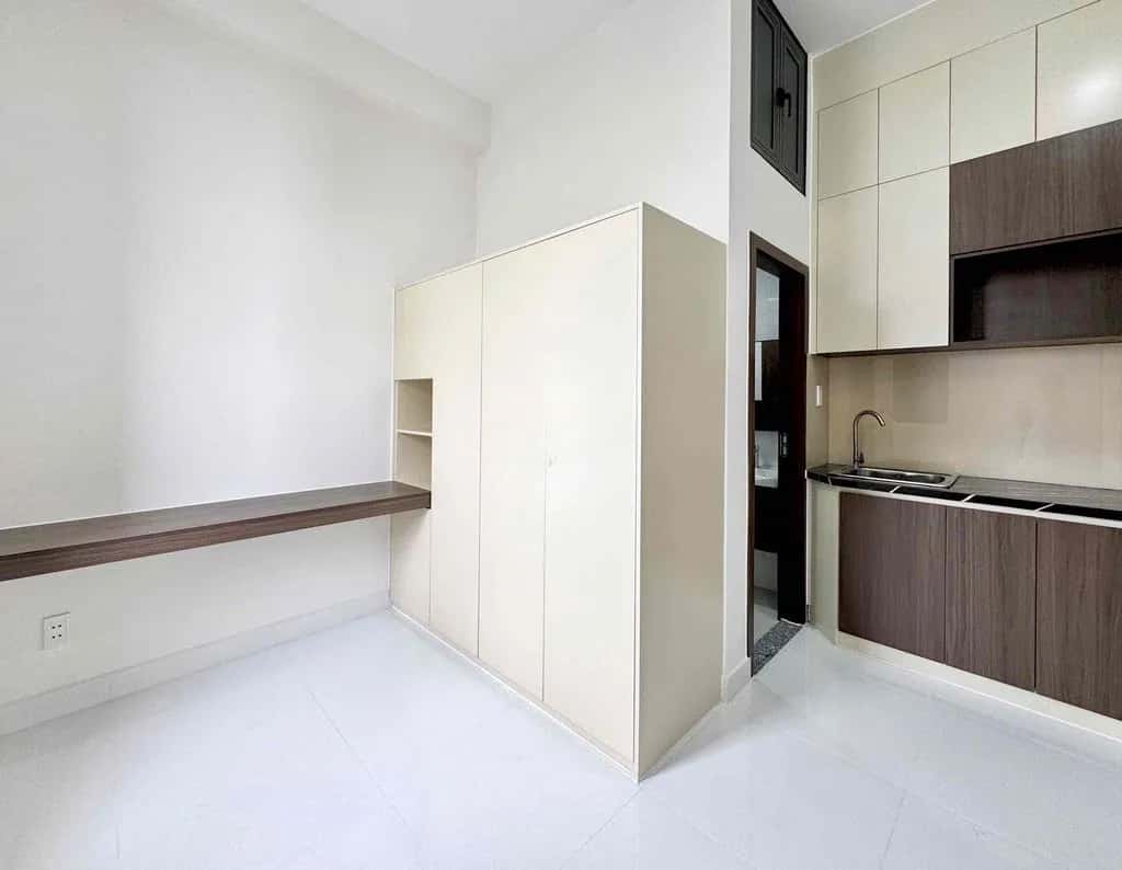 Cho thuê căn hộ chung cư Lương Thế Vinh Quận Tân Phú, TP.HCM – 1 phòng ngủ, giá 2.9 triệu