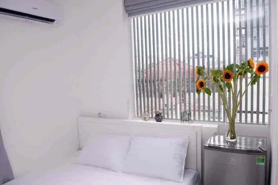 Cho thuê căn hộ chung cư Mai Thị Lựu Quận 1, TP.HCM – 1 phòng ngủ, giá 6.8 triệu