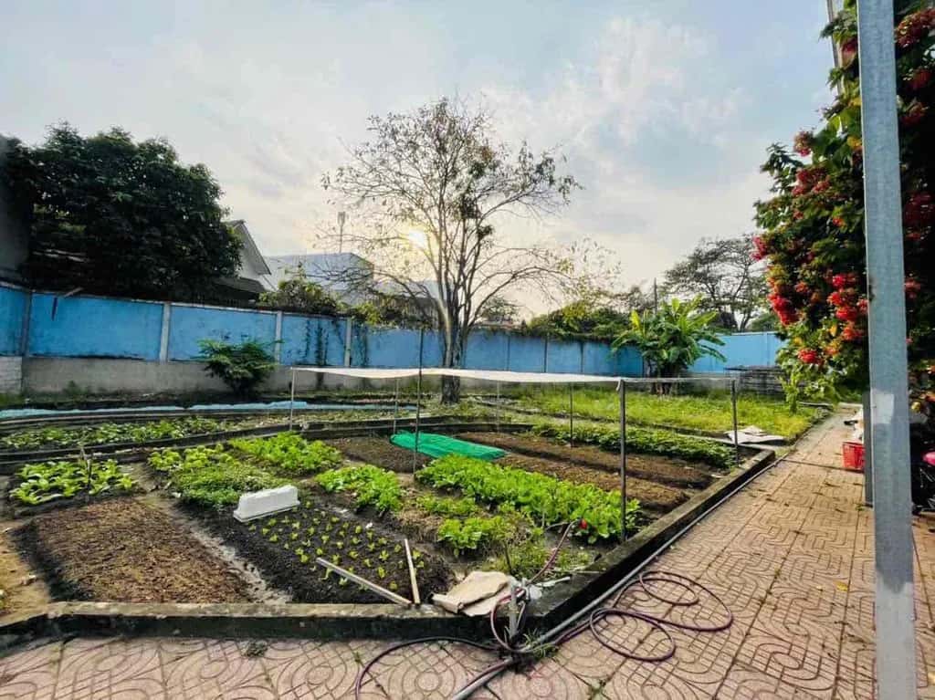 Cho thuê nhà hẻm Lã Xuân Oai Quận 9 cũ, Ho Chi Minh – 5 phòng ngủ, giá 60 triệu