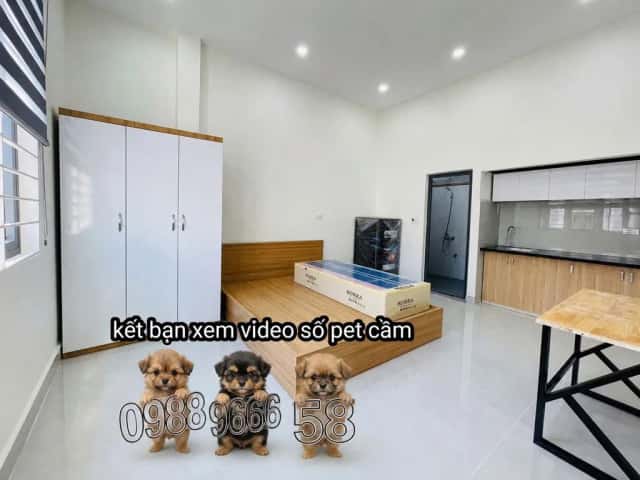 Cho thuê phòng trọ Đường Nguyễn Trãi Quận 5, TP.HCM – giá 3.8 triệu Cho thuê phòng trọ Đường Nguyễn Trãi Quận 5, TP.HCM – giá 3.8 triệu
