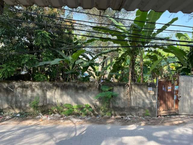 Bán đất đường 6A Huyện Bình Chánh, TP.HCM – giá 5.8 tỷ